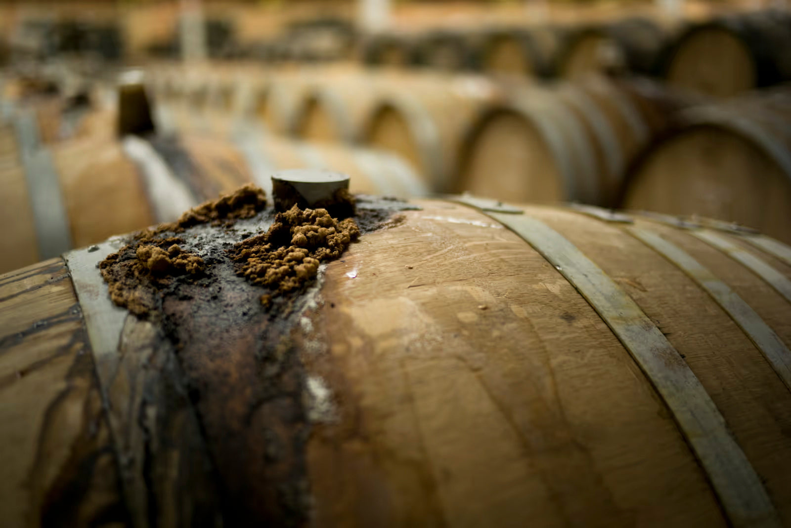 The Wild World of Wort Workers