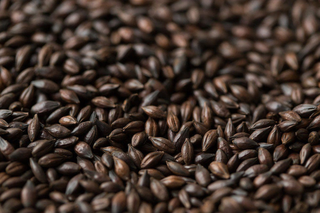 Daniel Wheeler & the Dark Art of Roasted Malts