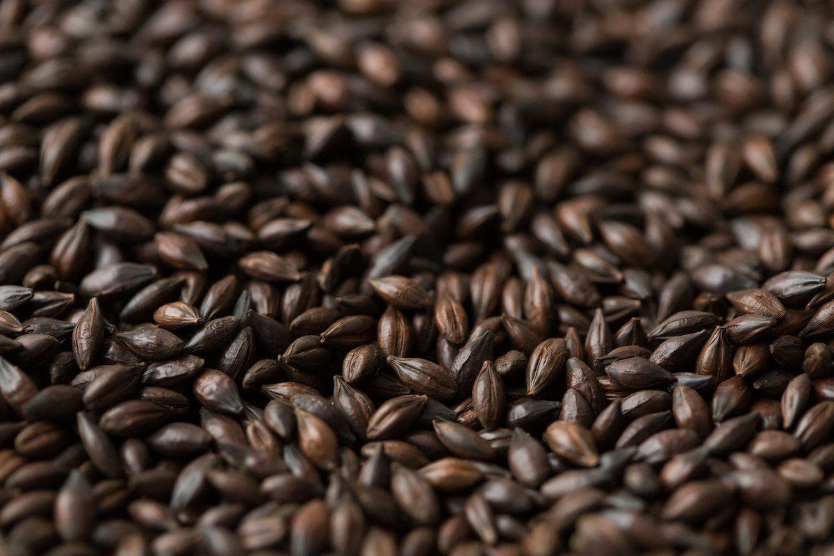 Daniel Wheeler & the Dark Art of Roasted Malts