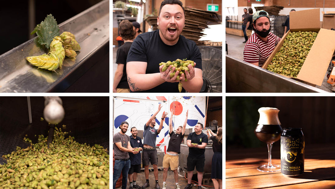 Club Hops - April 2022