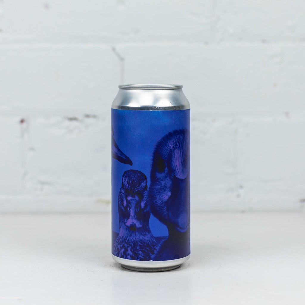 Duckpond - Black & Blue