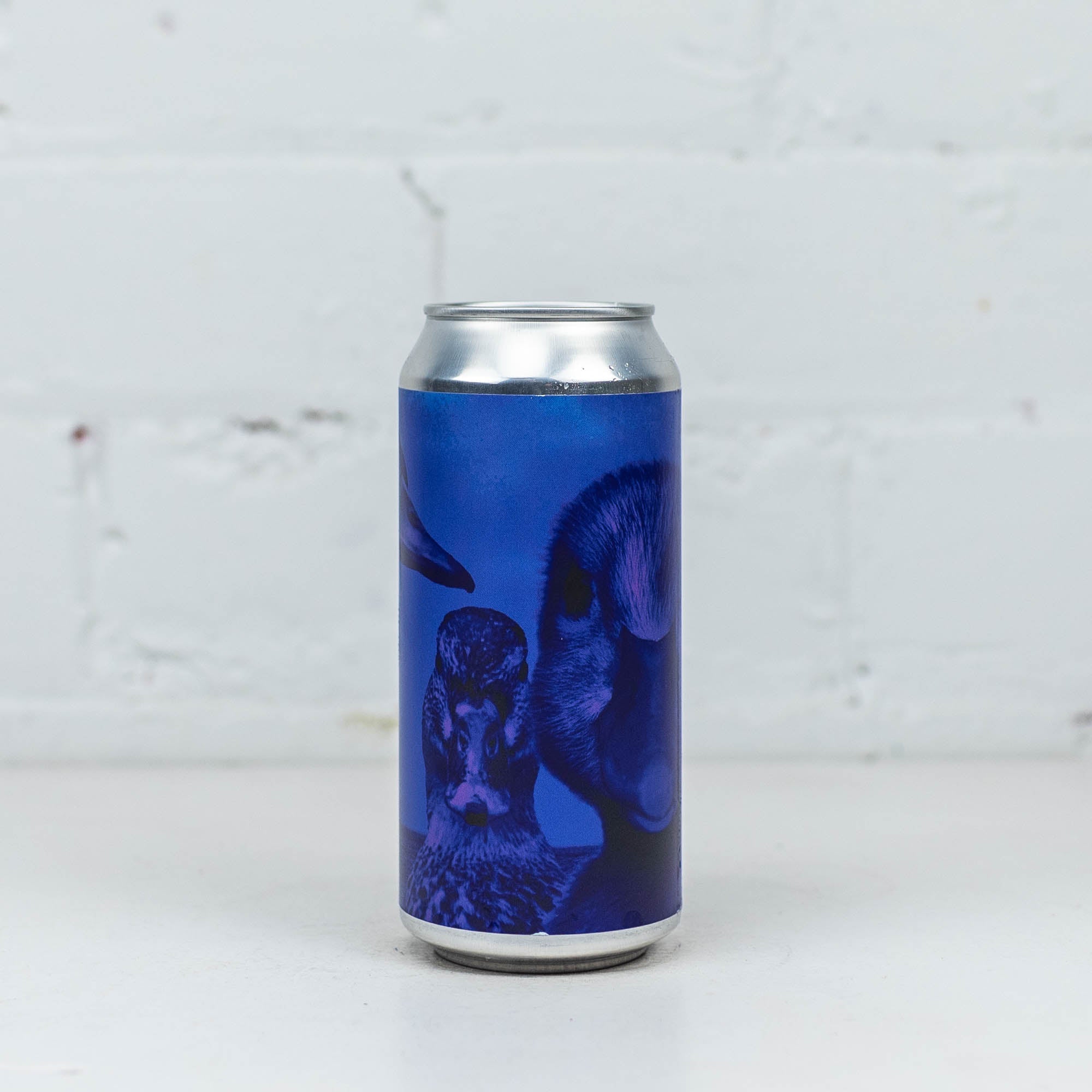 Duckpond - Black & Blue