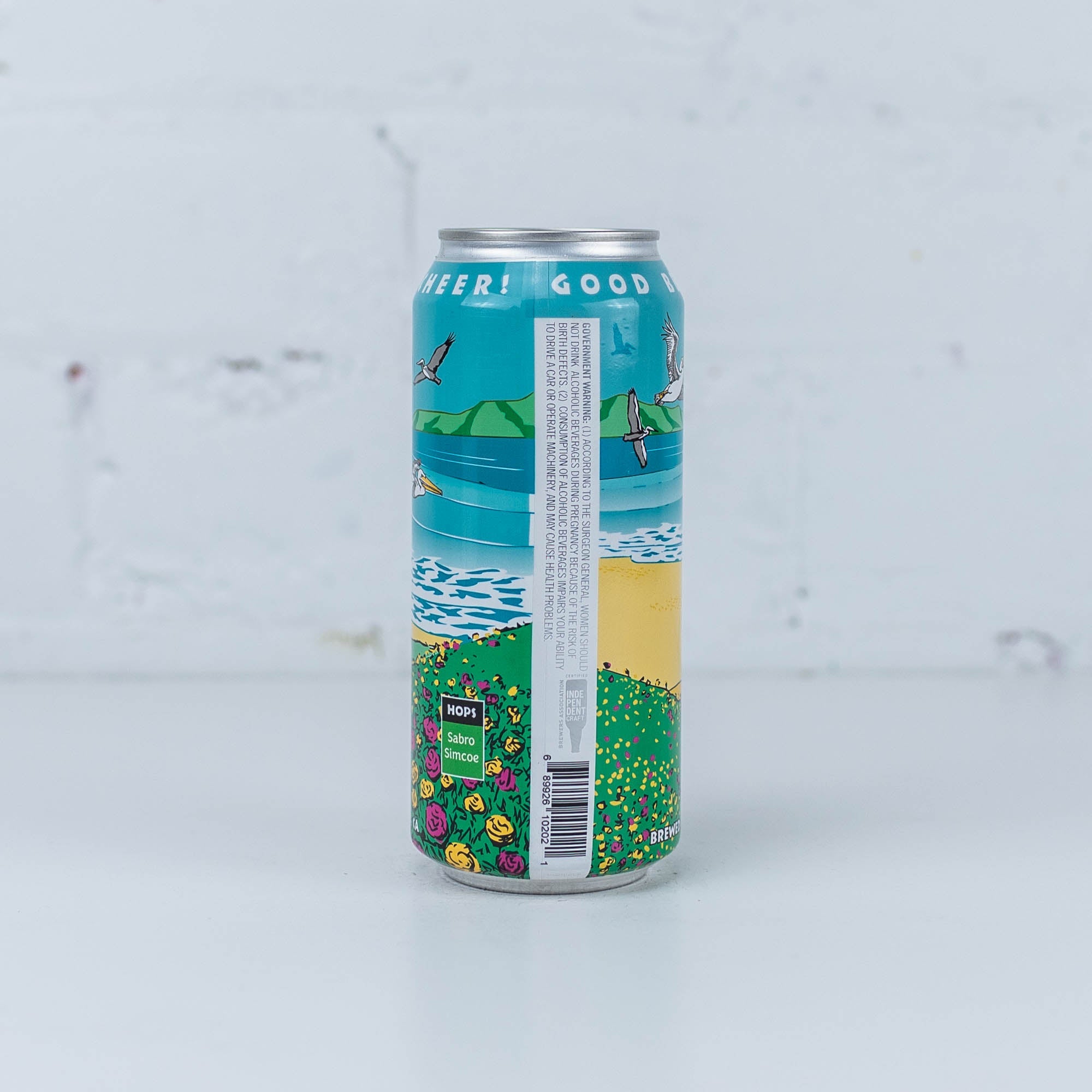 Pizza Port - Remote Location IPA