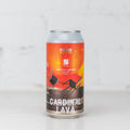 Lost Palms x Seeker 'Cardinal Lava' Fruited Smoothie Sour