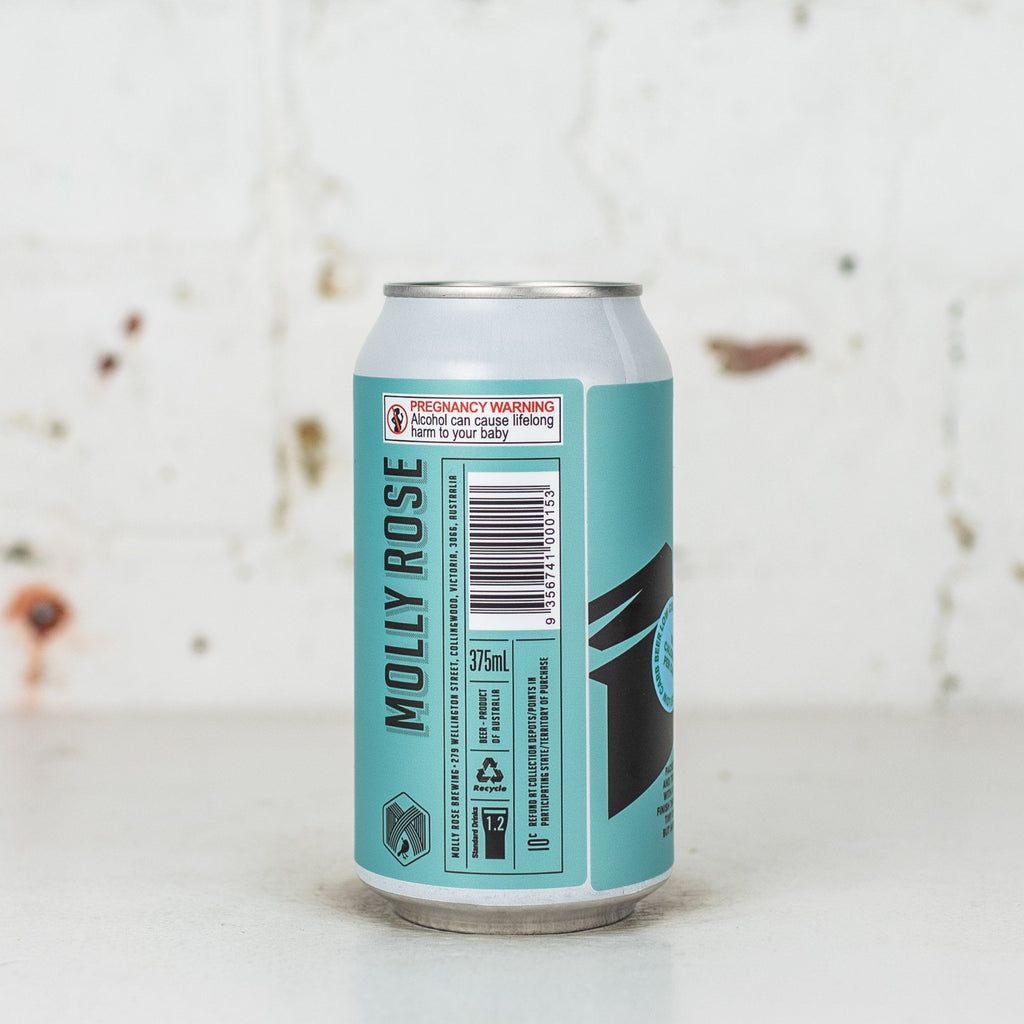 Molly Rose - Little Hazy Beer Low Carb Pale
