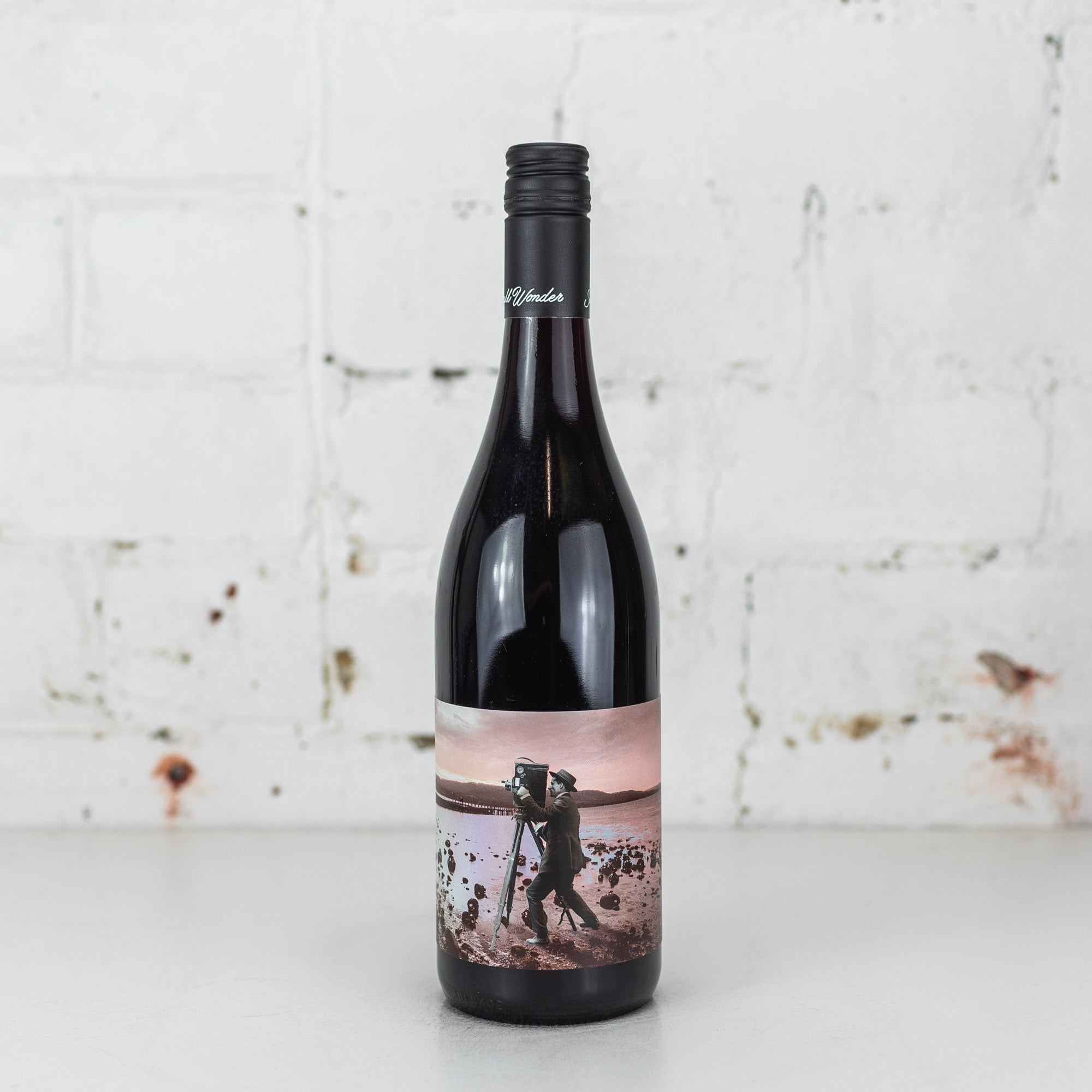 Small Wonder - Landscape Pinot Noir 2022 750ml