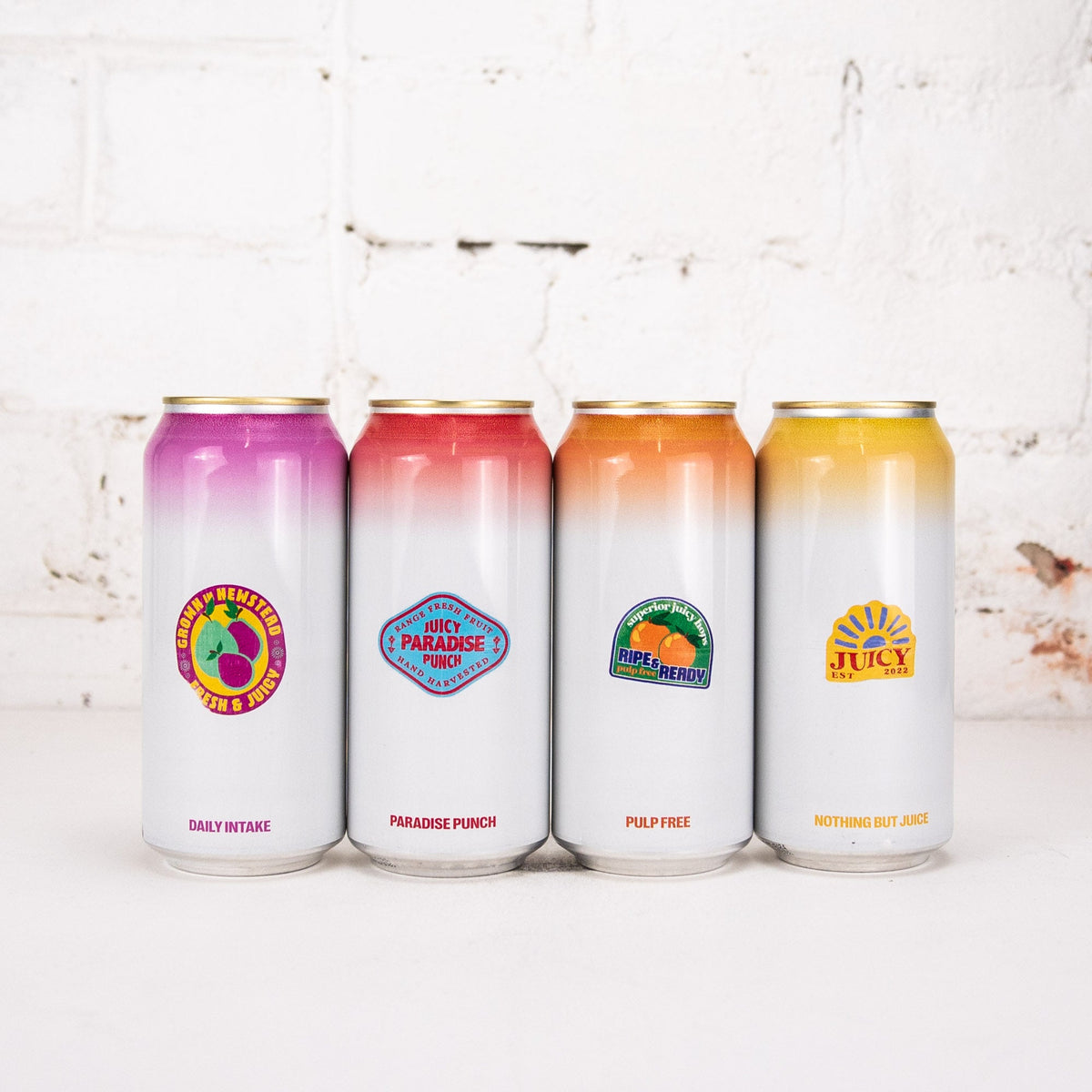 Range - JUICY Fest 2024 Mixed 4 Pack