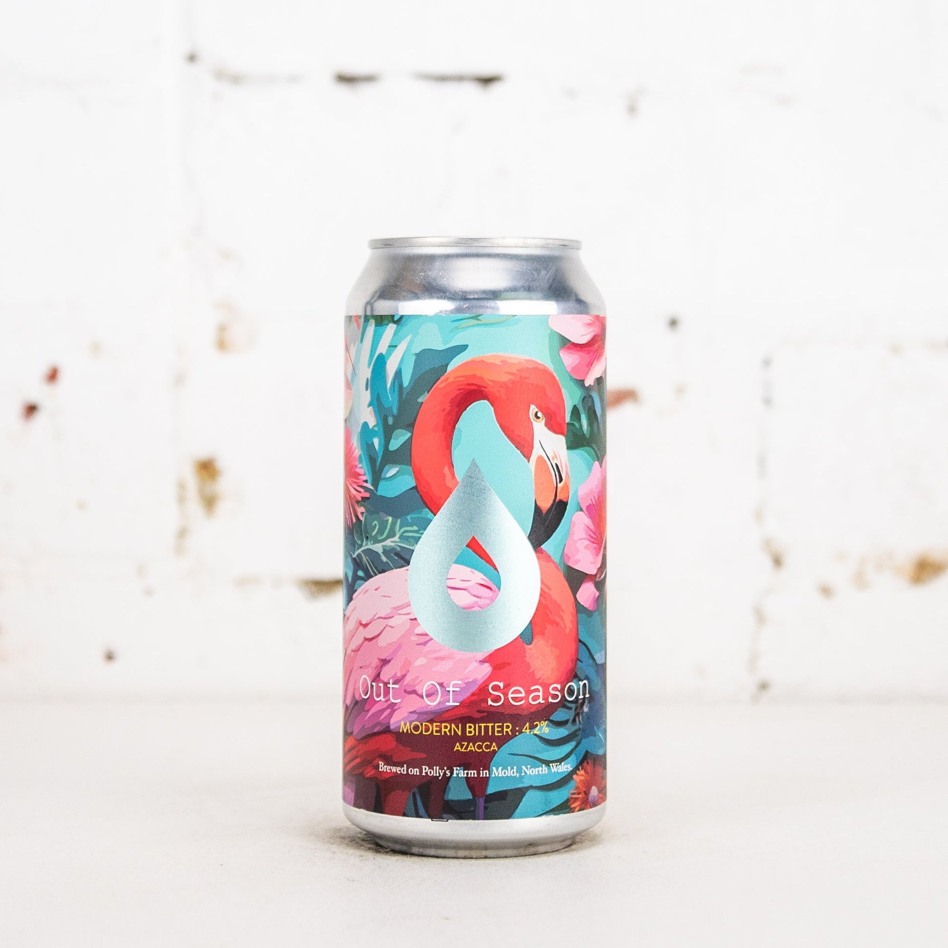 Polly's Brew Co - Out of Season Modern Bitter