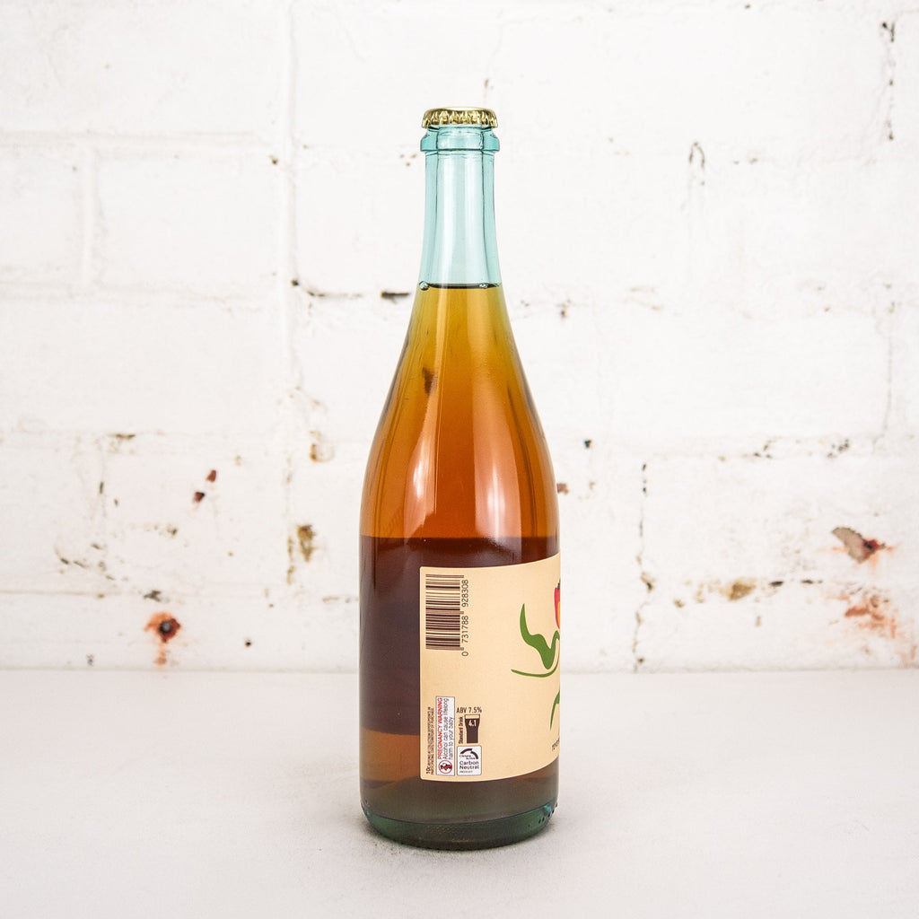 Bodriggy - Reverse Spring Chardonnay Barrel Plum Berliner Weisse 750ml