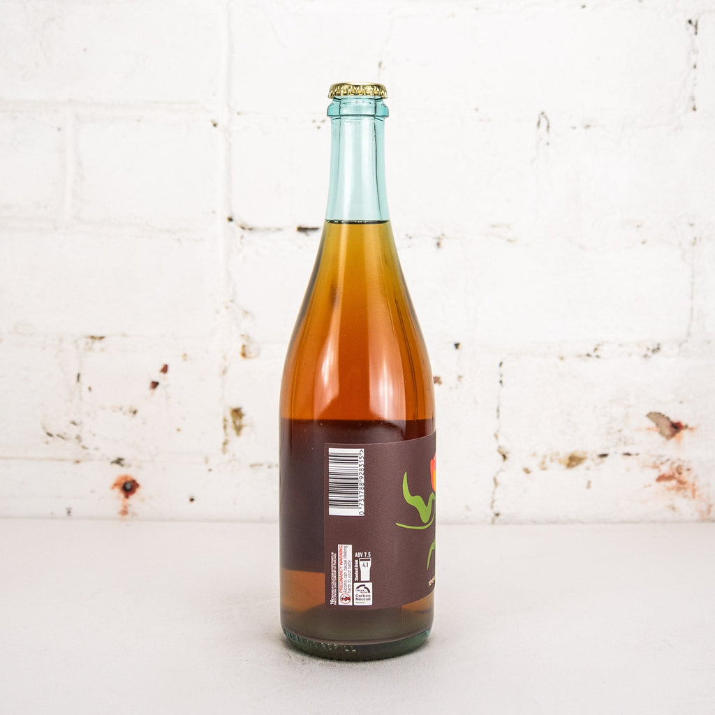 Bodriggy - Reverse Spring Shiraz Barrel Plum Berliner Weisse 750ml
