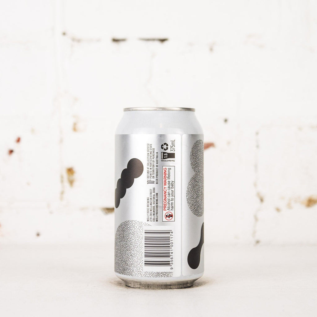Molly Rose - Do You Realise? Barrel Fermented Saison
