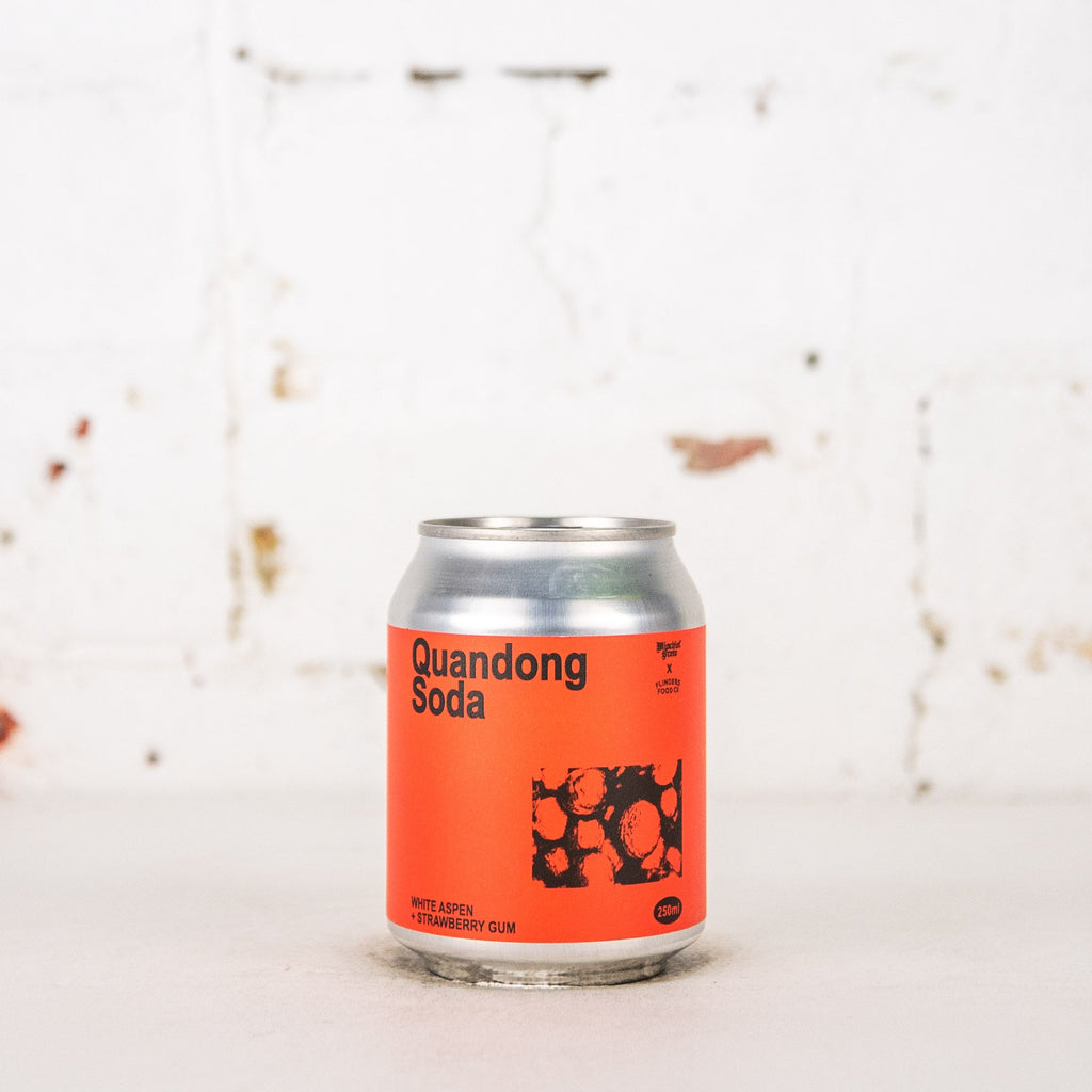 Mischief Brew - Quandong Soda 250ml
