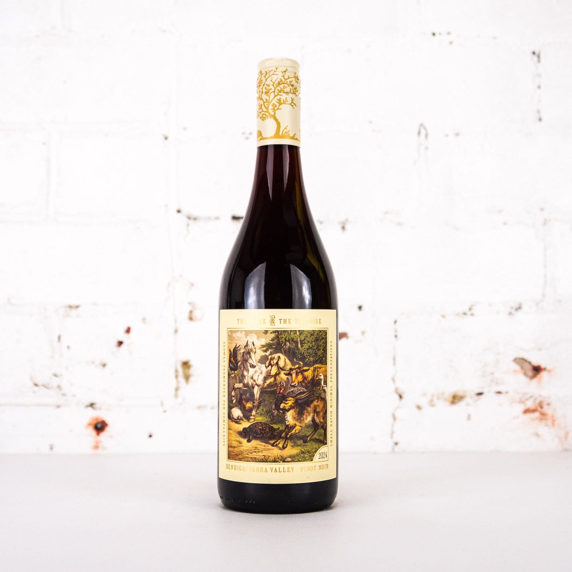 The Hare & The Tortoise - Pinot Noir 750ml