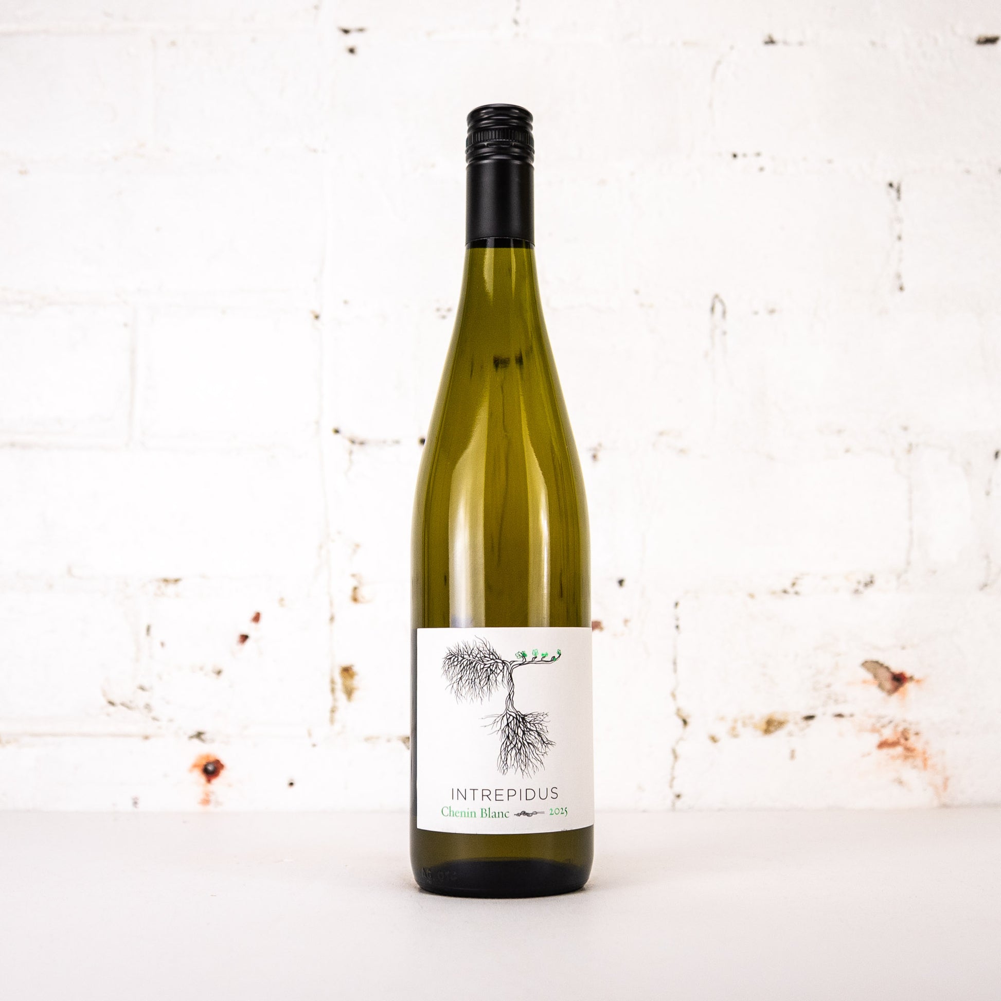 Intrepidus - Chenin Blanc 2025 750ml