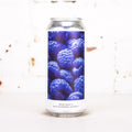 Evil Twin - What Even Is A Blue Raspberry Anyway? Sour IPA