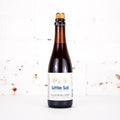 Allagash - Little Sal 2019 375ml