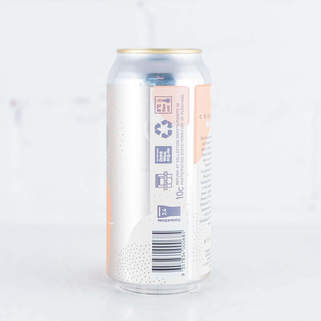 One Drop - Connected Hazy IPA