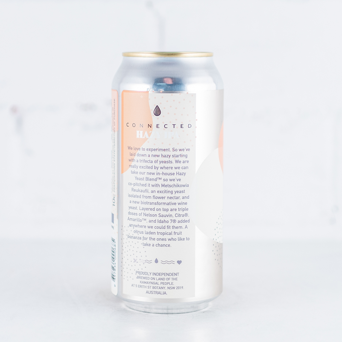 One Drop - Connected Hazy IPA