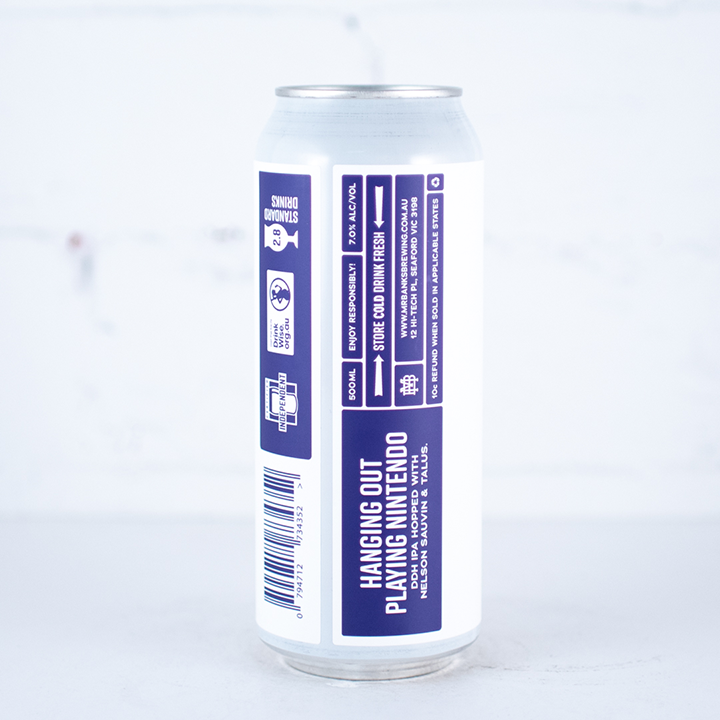 Mr Banks - Hanging Out Playing Nintendo DDH IPA