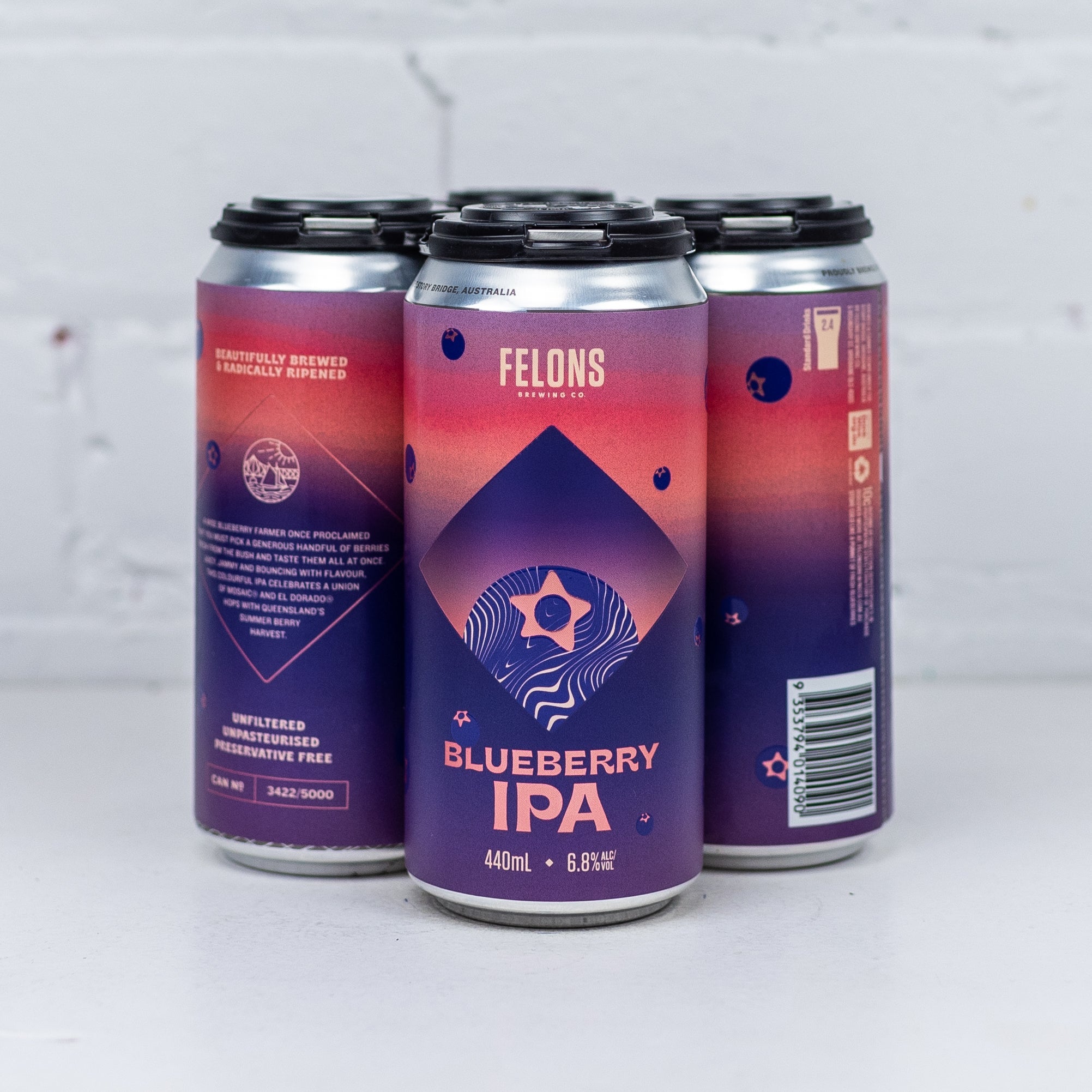 Felons - Blueberry IPA