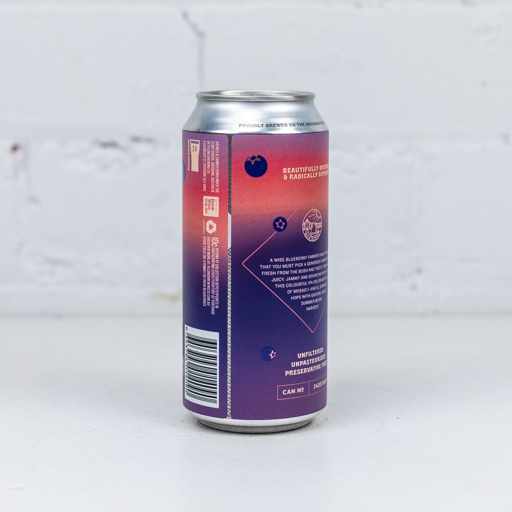 Felons - Blueberry IPA