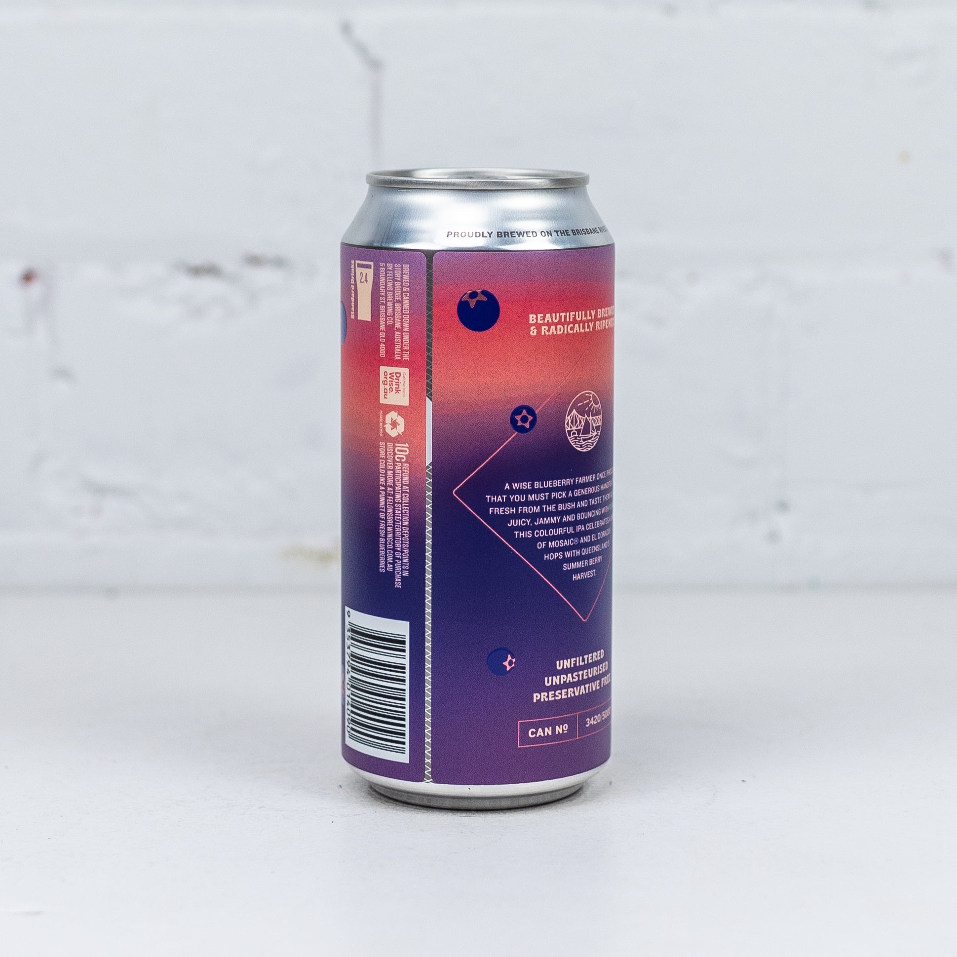 Felons - Blueberry IPA