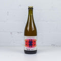 Future Mountain - Space Travel Rock n Roll Smoked Farmhouse Ale with Peaches 750ml