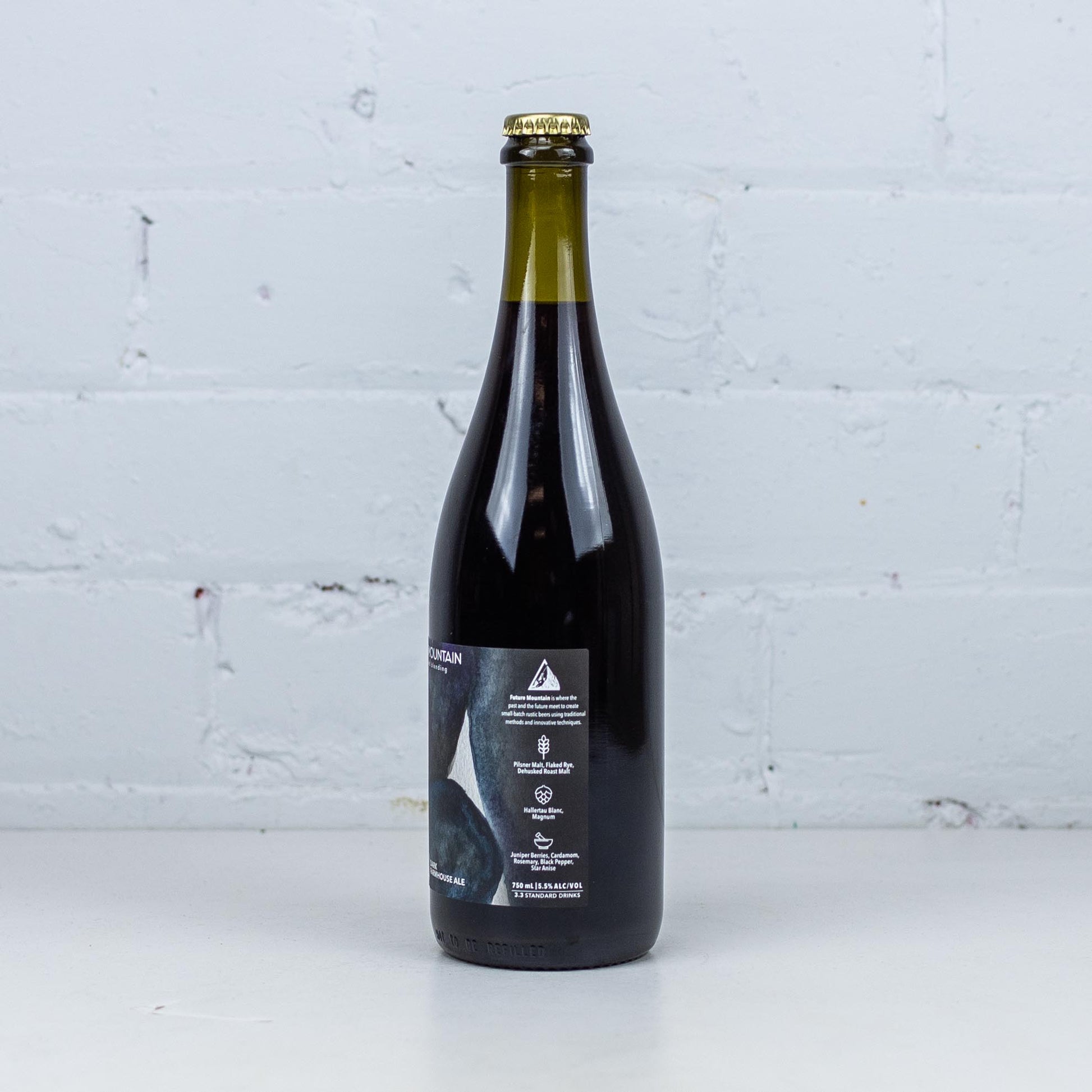 Future Mountain - A Million Stars Dark Farmhouse Ale 2022 Bottle 750ml