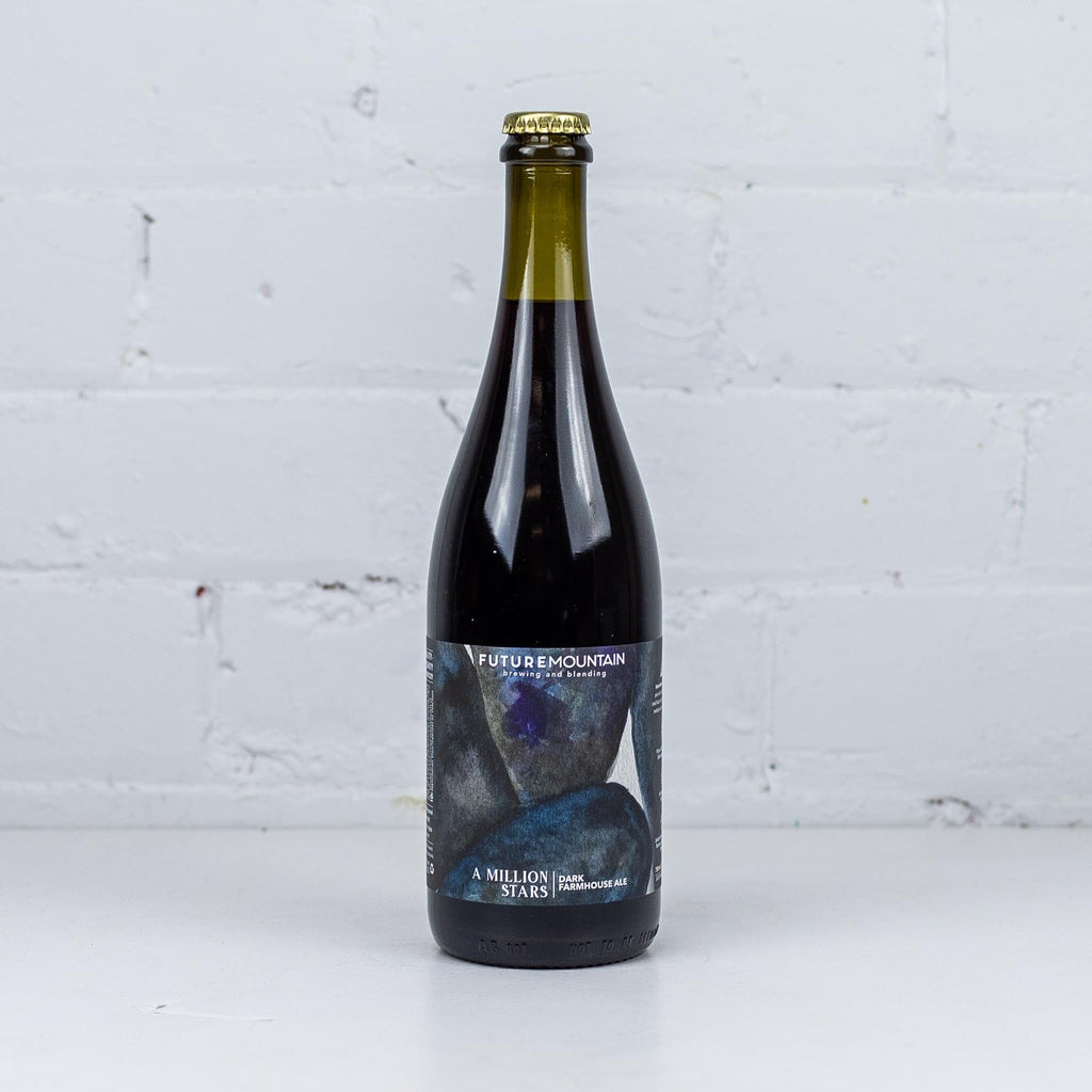 Future Mountain - A Million Stars Dark Farmhouse Ale 2022 Bottle 750ml