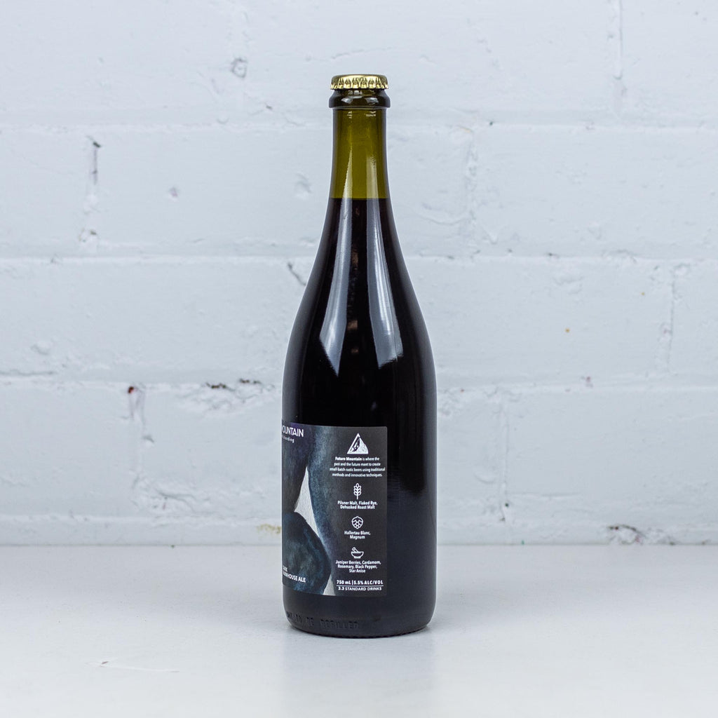 Future Mountain - A Million Stars Dark Farmhouse Ale 2022 Bottle 750ml
