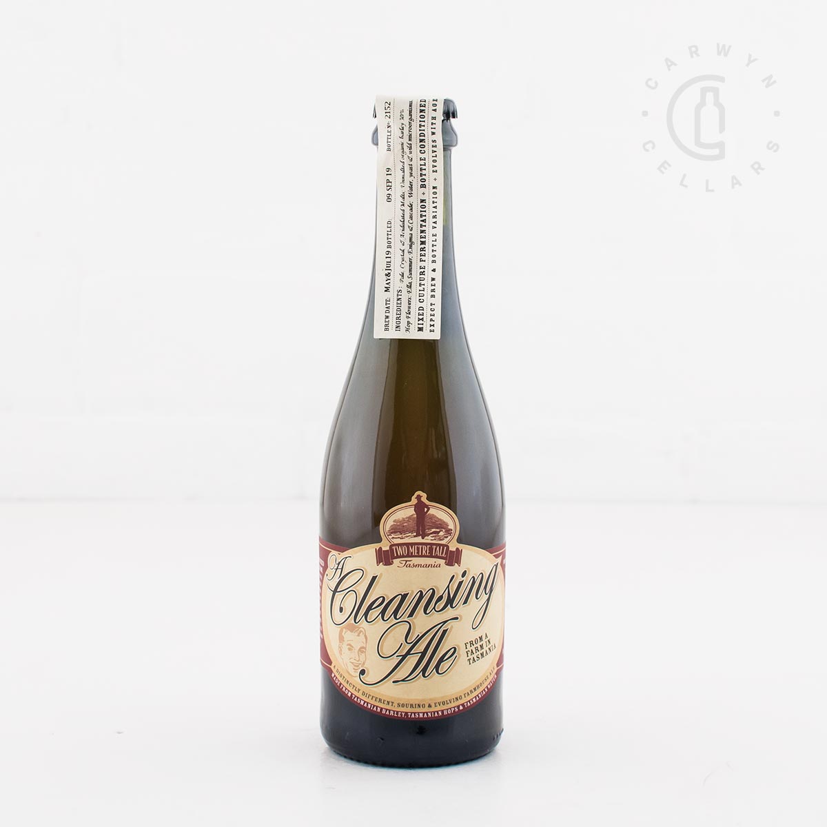 Two Metre Tall - Cleansing Ale 375ml