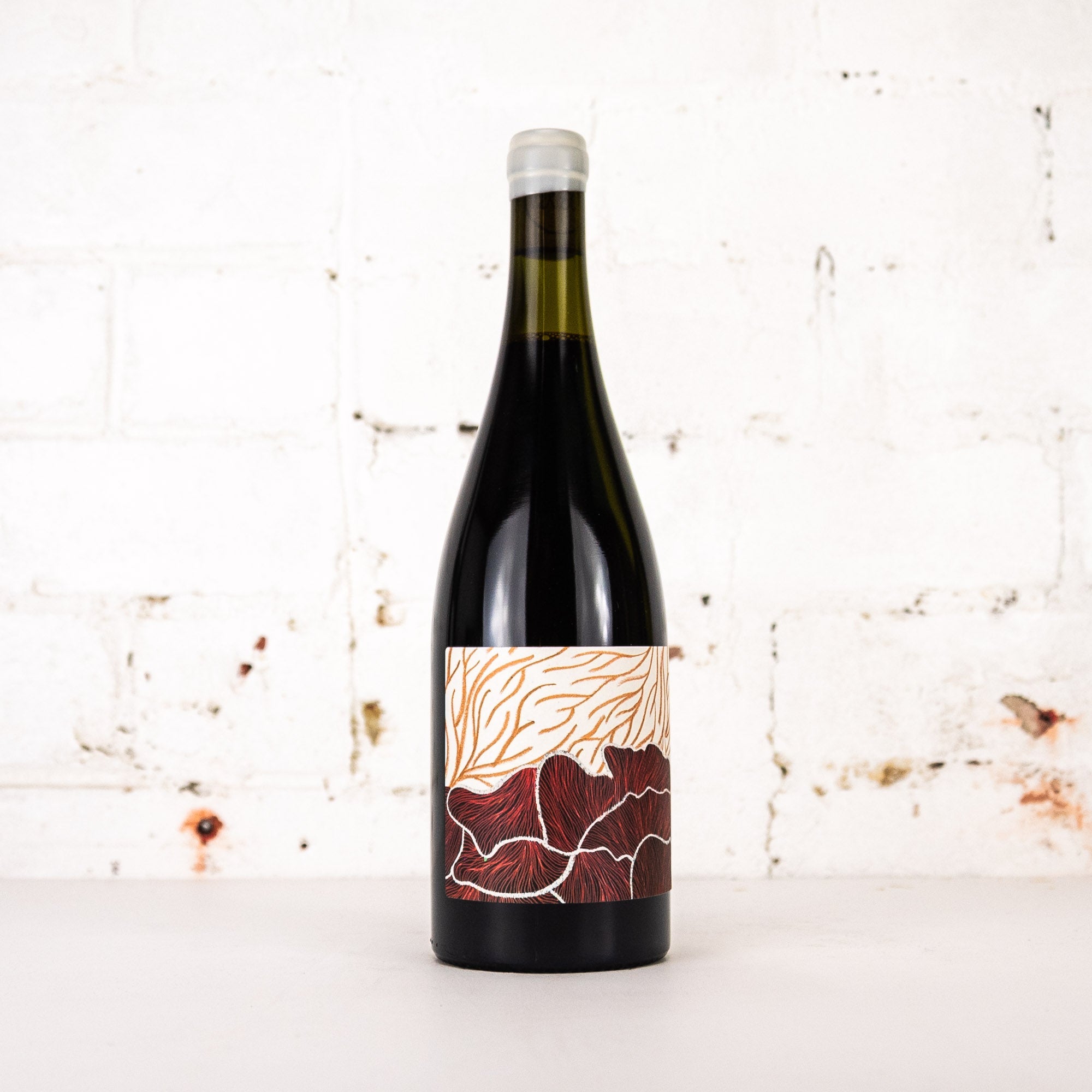 Future Perfect - Shiraz 2024 750ml