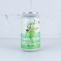 Aether - Summer of Sour Nelson Sauvin Sour IPA