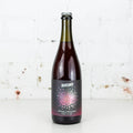 Duncan's - Negroni Ale Barleywine Strong Ale 2022 750ml