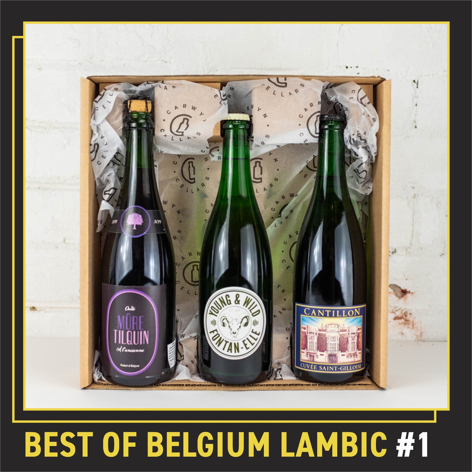 Best of Belgium Lambic Mixed 3 Pack #1