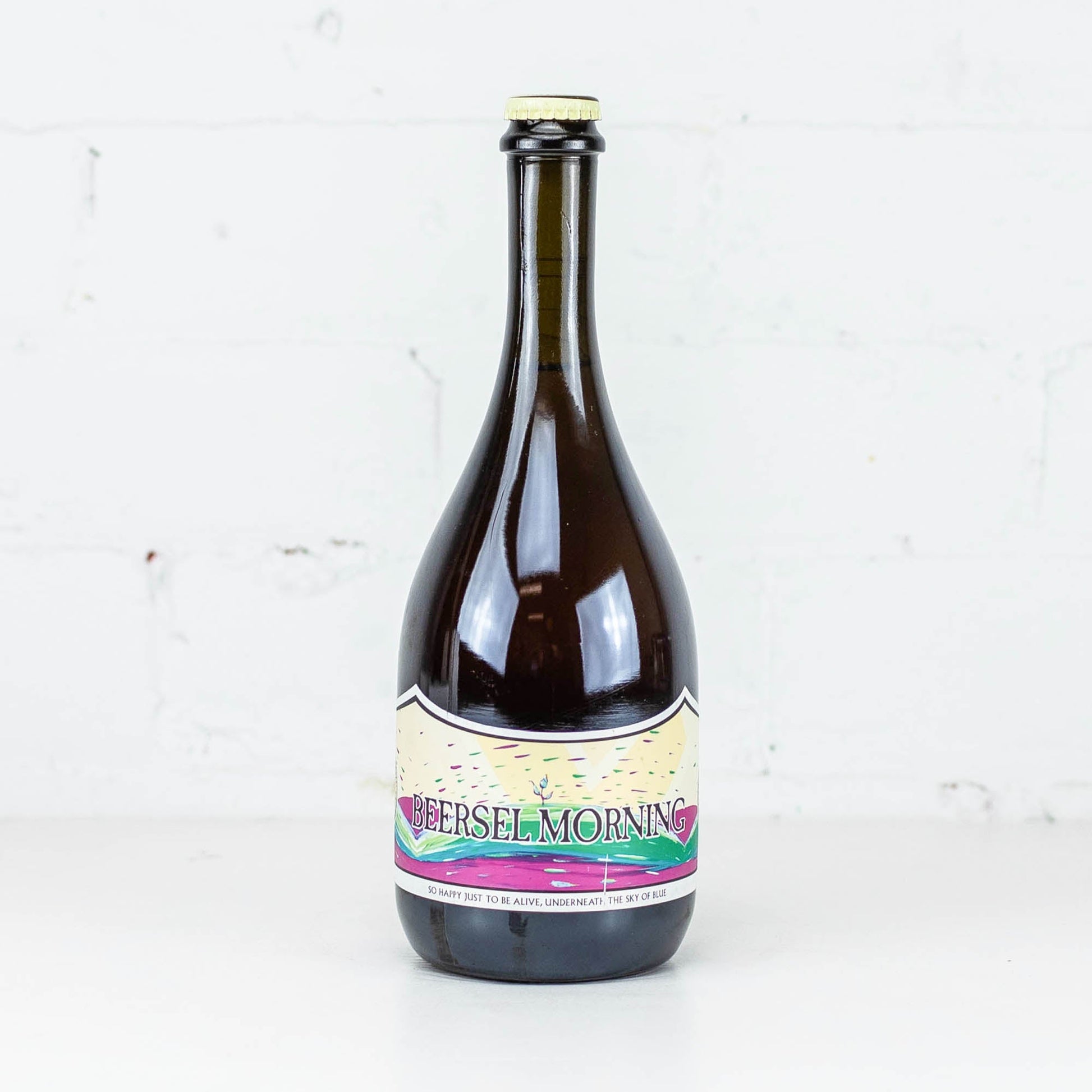 Ducato x 3 Fonteinen 'Beersel Morning' 750ml