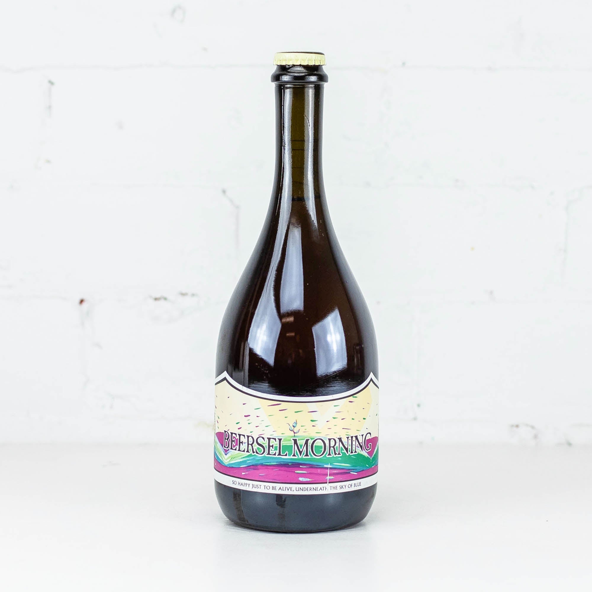 Ducato x 3 Fonteinen 'Beersel Morning' 750ml