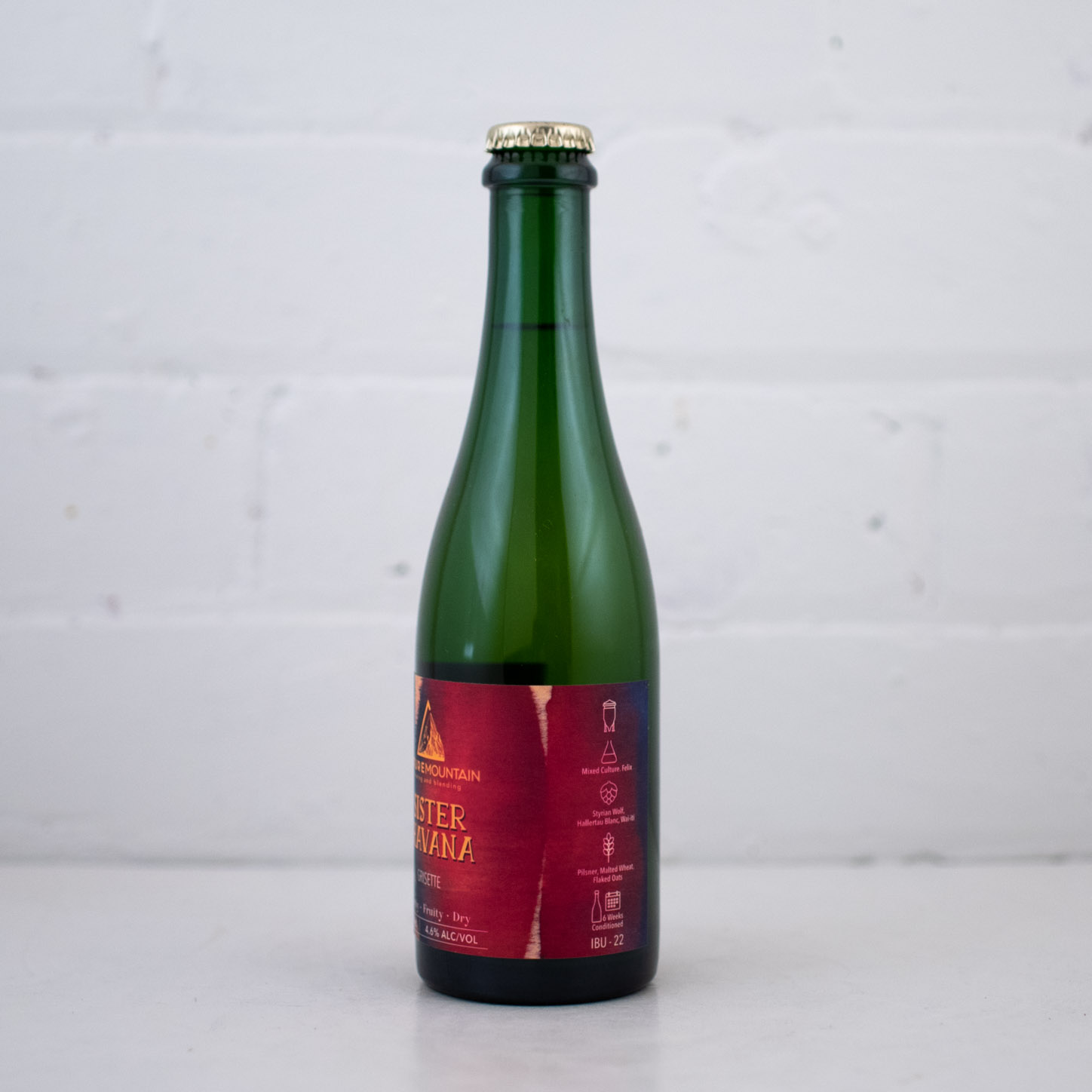 Future Mountain - Sister Havana Grisette 375ml