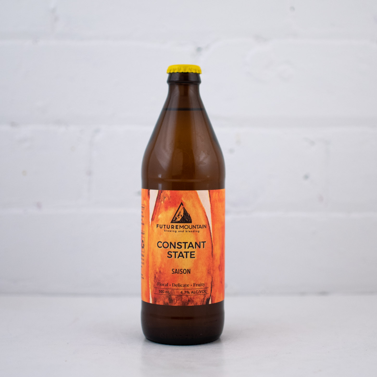 Future Mountain - Constant State 500ml