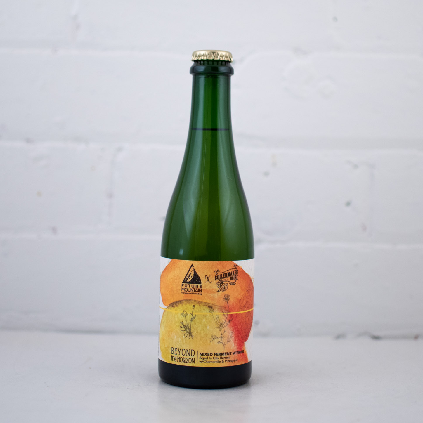 Future Mountain x Boilermaker House - Beyond The Horizon 375ml