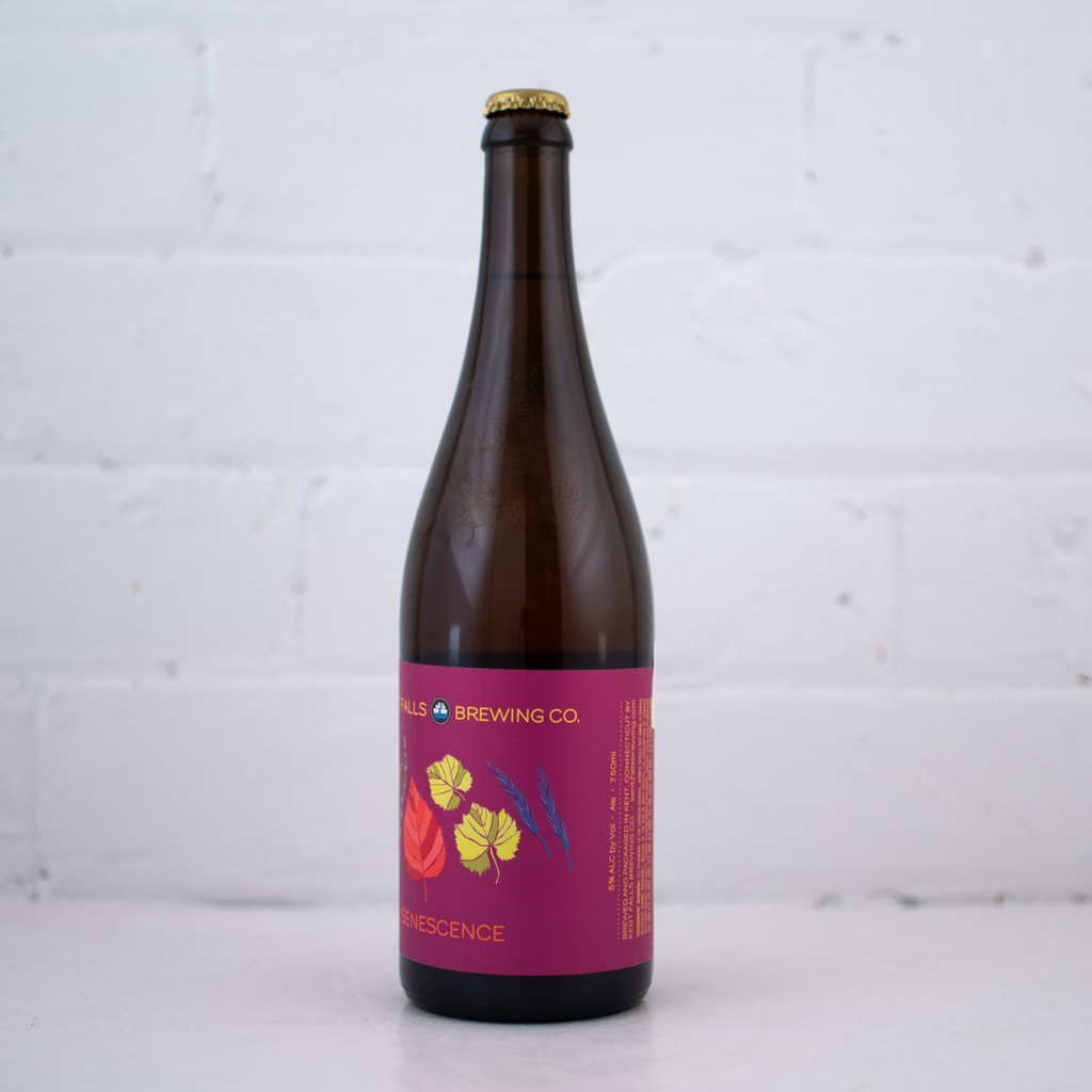 Kent Falls Brewing Co. - Senescence 750ml