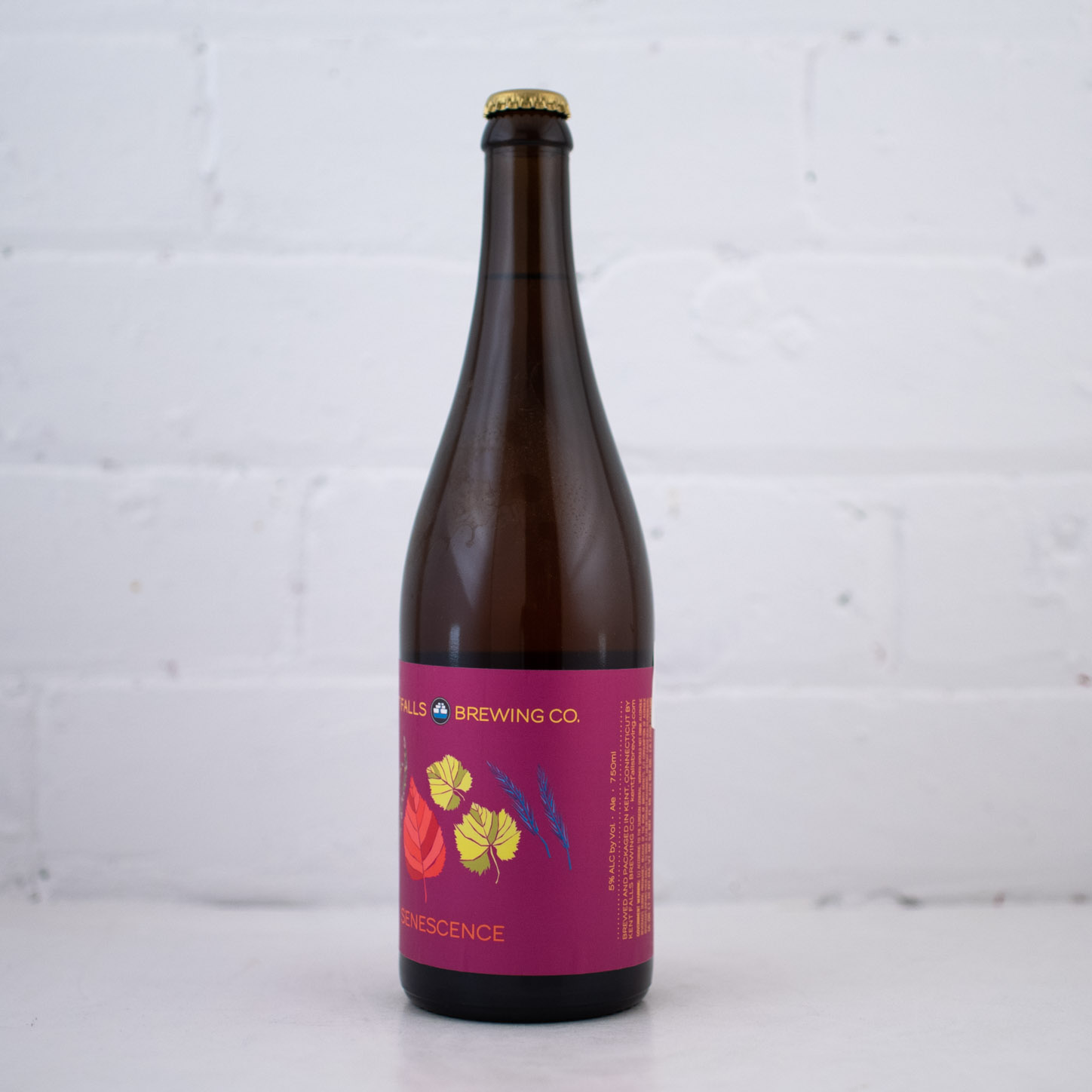 Kent Falls Brewing Co. - Senescence 750ml
