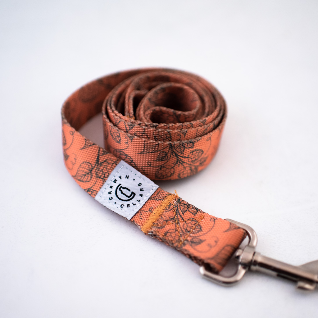 Carwyn Cellars - Branded Dog Lead