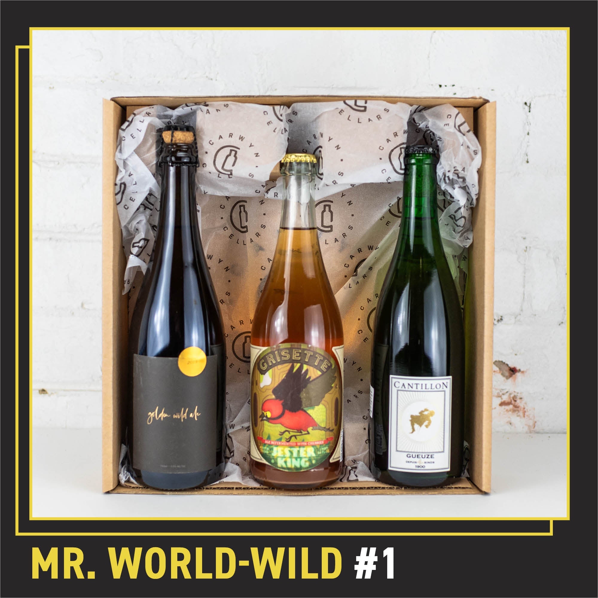 Mr. World–Wild Mixed 3 Pack #1