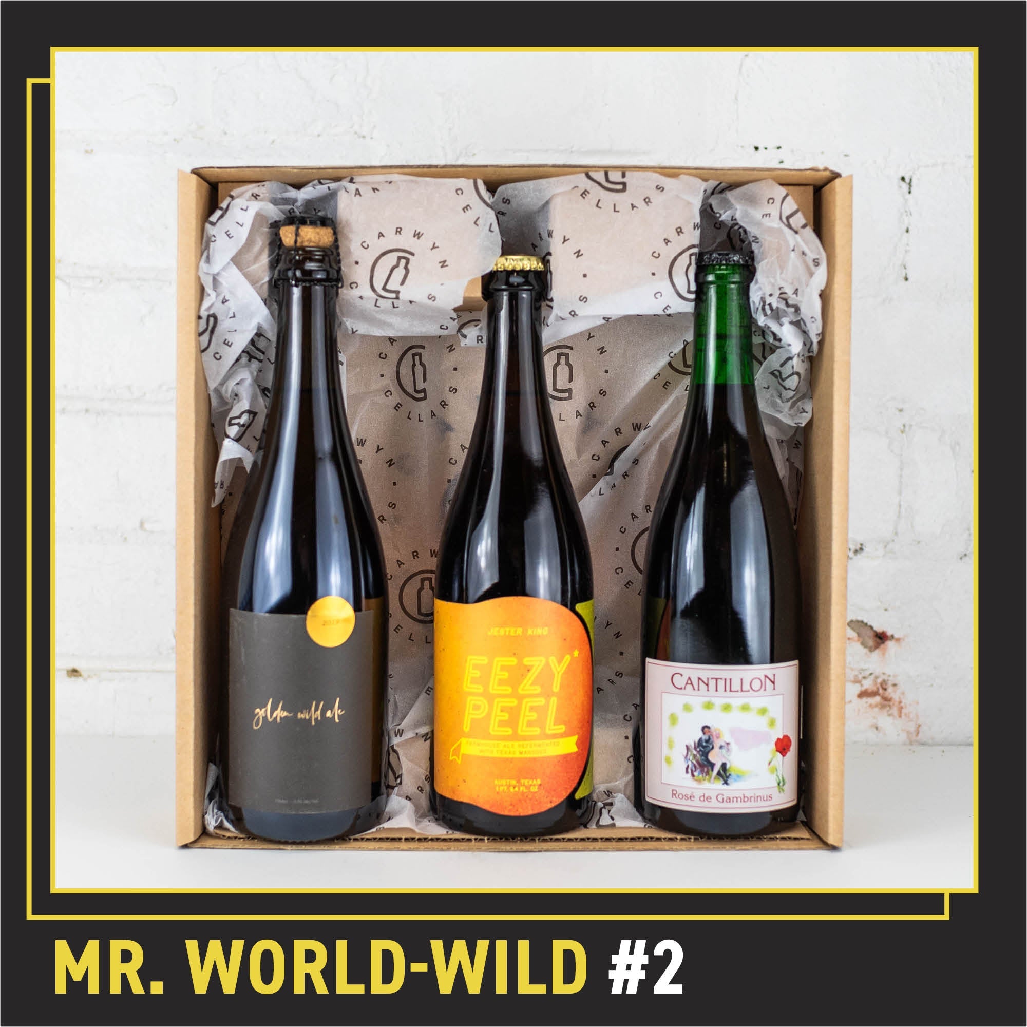 Mr. World–Wild Mixed 3 Pack #2