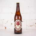 Bodriggy - Stingrays Draught 640ml