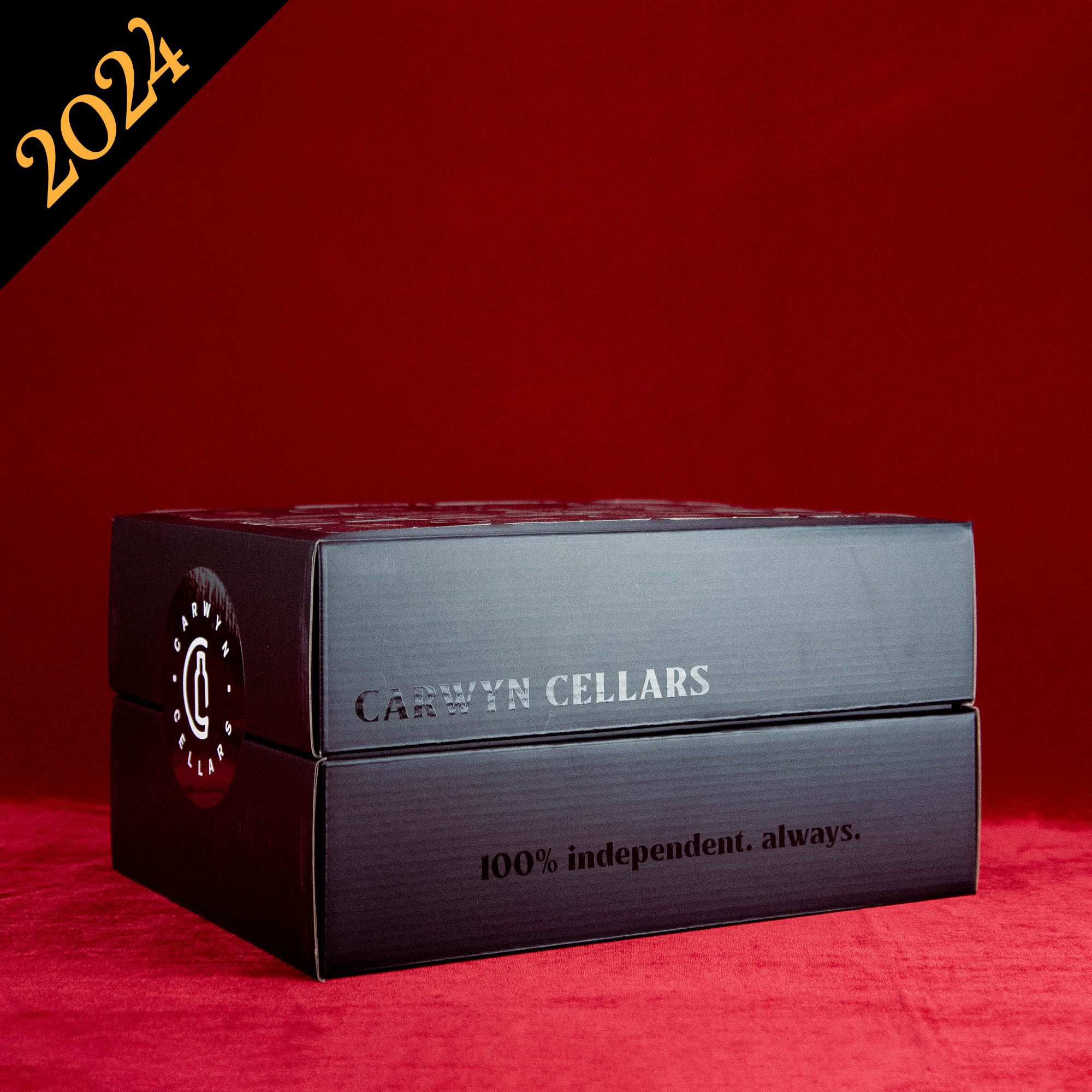 The Black Box 2024